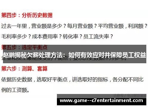 赵鹏揭秘欠薪处理方法：如何有效应对并保障员工权益