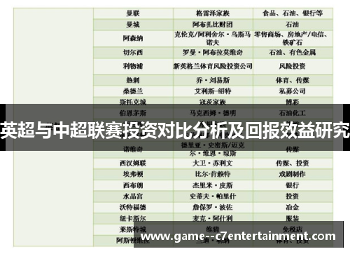 英超与中超联赛投资对比分析及回报效益研究 英超与中超联赛投资对比分析及回报效益研究
