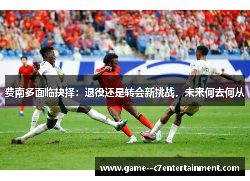 费南多面临抉择：退役还是转会新挑战，未来何去何从