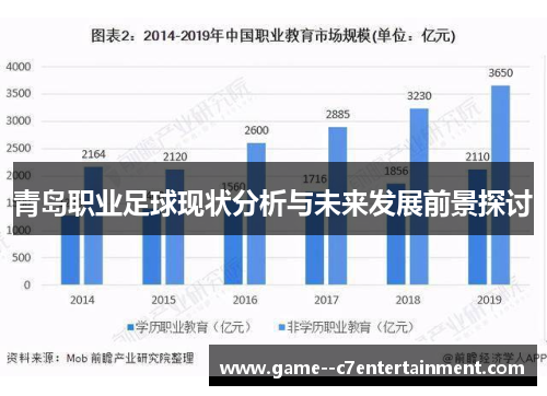 青岛职业足球现状分析与未来发展前景探讨