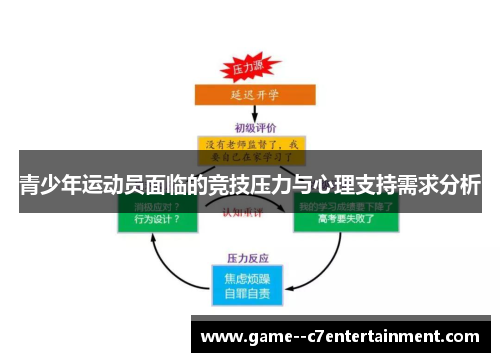 青少年运动员面临的竞技压力与心理支持需求分析
