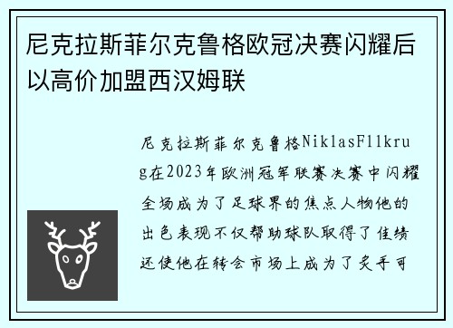 尼克拉斯菲尔克鲁格欧冠决赛闪耀后以高价加盟西汉姆联